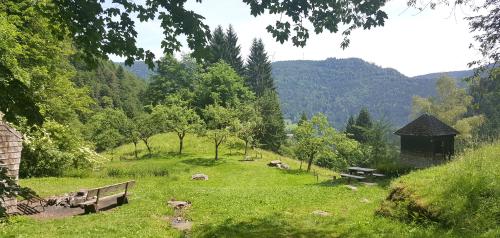 In the middle of the Black Forest